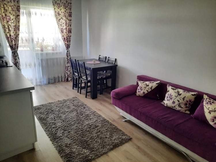 Apartmán Diana Apartament Brašov Exteriér fotografie